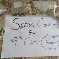 Green Seekers Activity